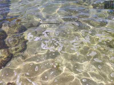 In realt� la schiuma ha origine naturale, perch� deriva dalle mareggiate